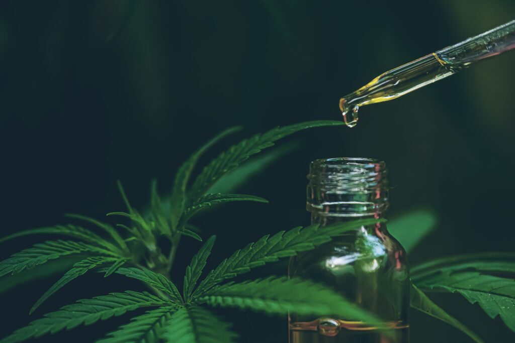 En Grundig Guide Til Å Velge Riktig CBD – Beste CBD Får Du Hos 77cbd